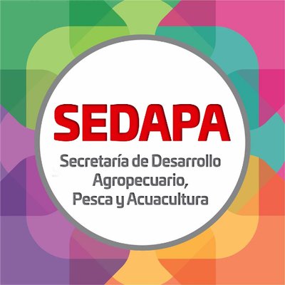 SEDAPA